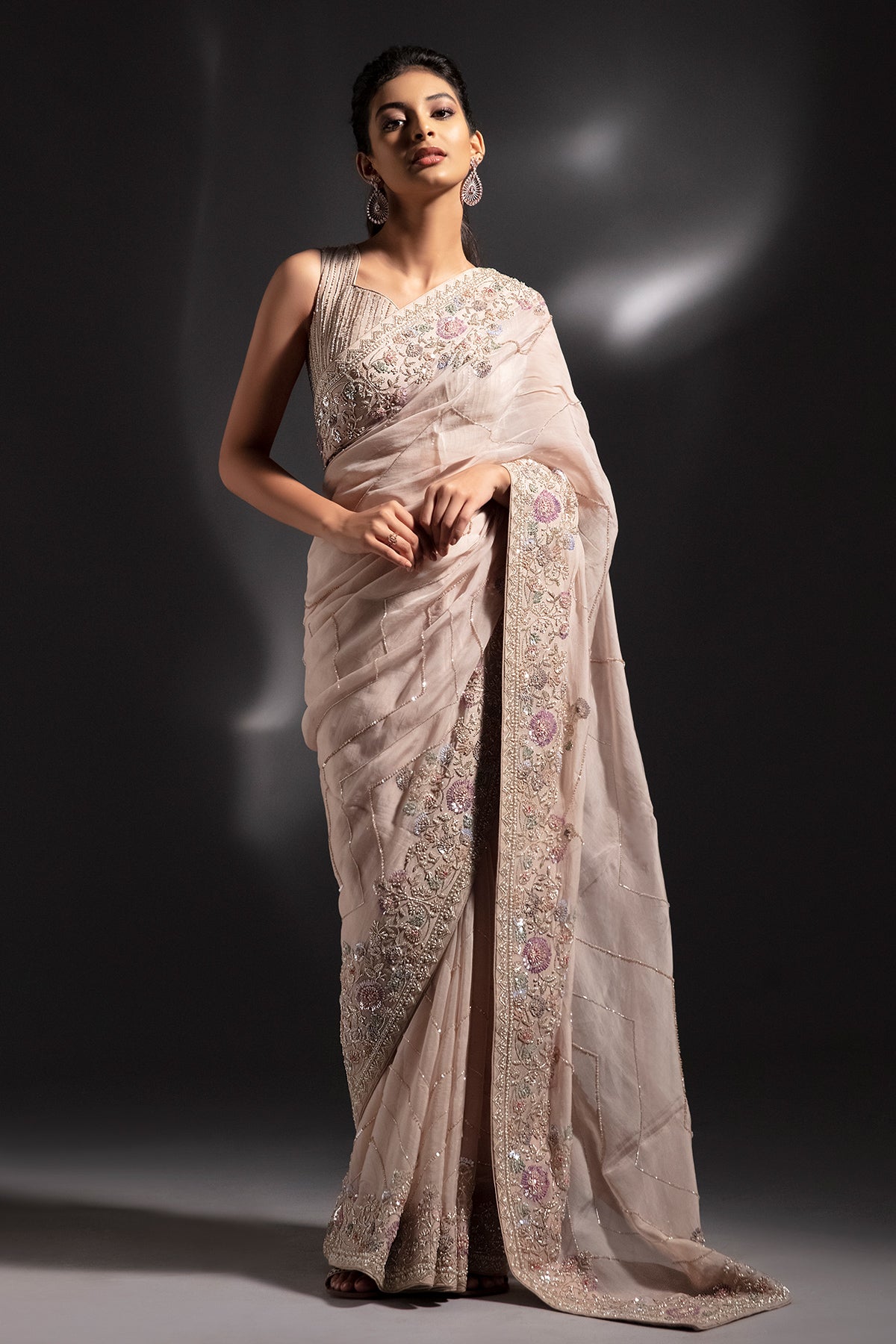 Panihari-Hazelnut-Hand-Embroidered-Saree