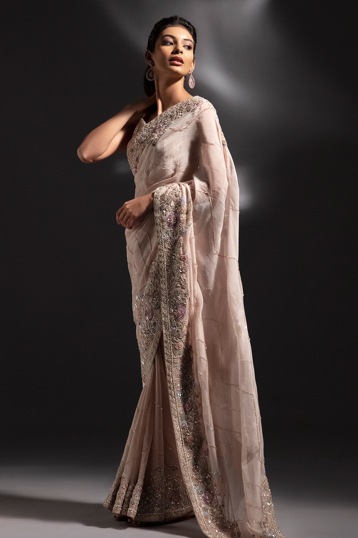 Panihari_Hazelnut Hand Embroidered Saree