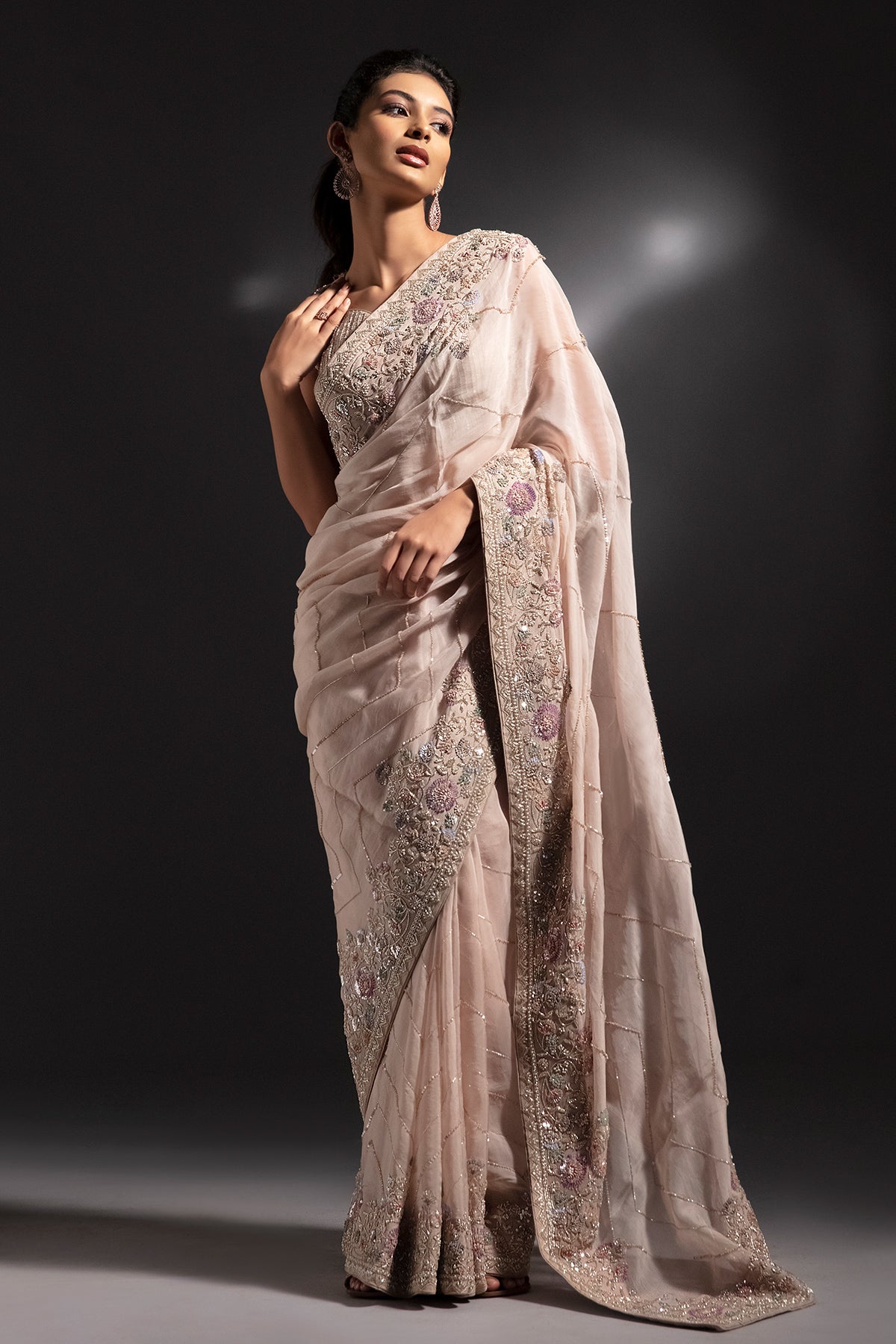 Panihari Hazelnut Hand Embroidered Saree